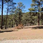 Phase III Lot 1 Image 9
